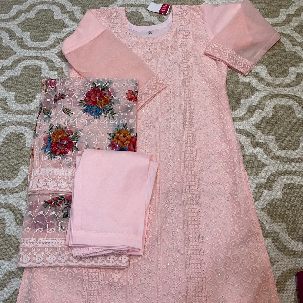 Baby Pink Embroidered Chikankari Salwar Kameez